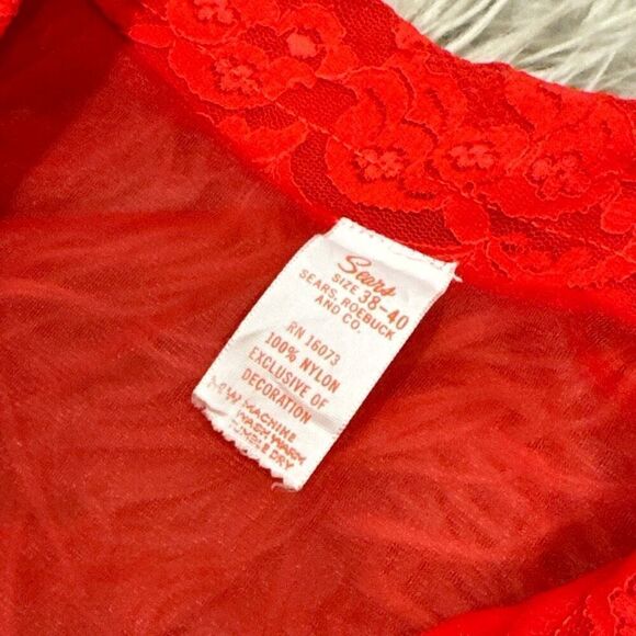 Vintage Sears Nylon Chiffon Sheer Lingerie size 38-40 - Picture 3 of 4
